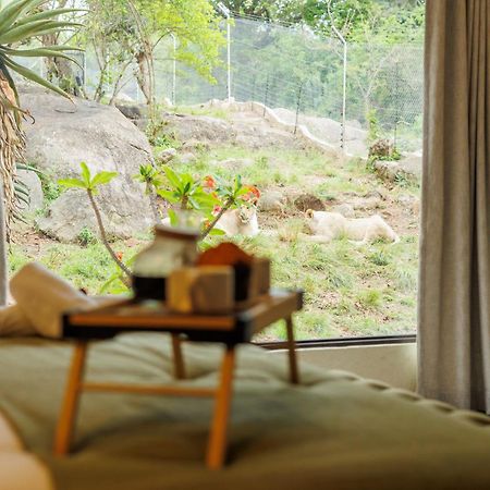 Pumbaa Wildlife Park & Accommodation Mbombela Buitenkant foto