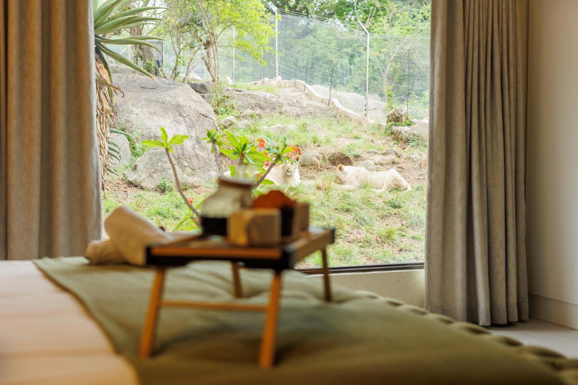 Pumbaa Wildlife Park & Accommodation Mbombela Buitenkant foto