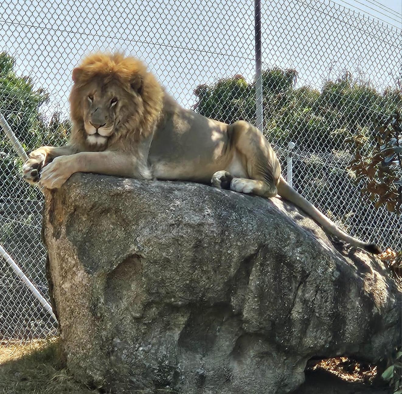 Pumbaa Wildlife Park & Accommodation Mbombela Buitenkant foto