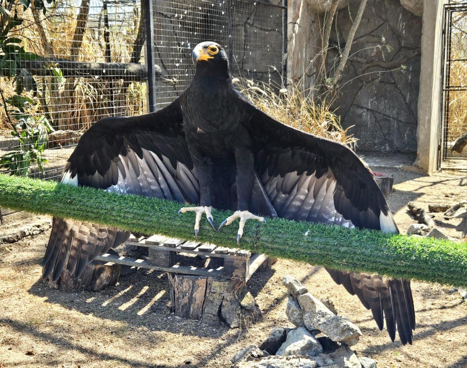 Pumbaa Wildlife Park & Accommodation Mbombela Buitenkant foto